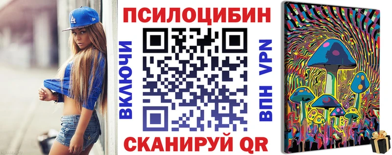 Купить  Городище  Псилоцибиновые грибы Psilocybine cubensis 
